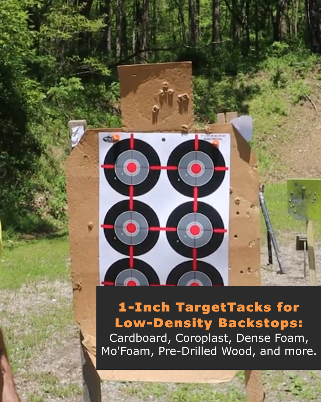 25 1-Inch Loose Bulk of TargetTacks®
