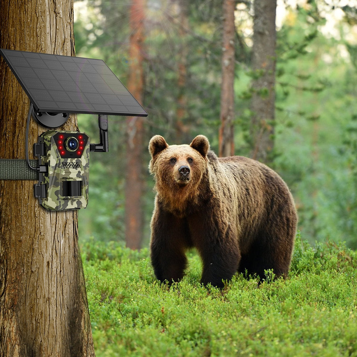 4K Solar Trail Camera with 4G Connectivity & Night Vision