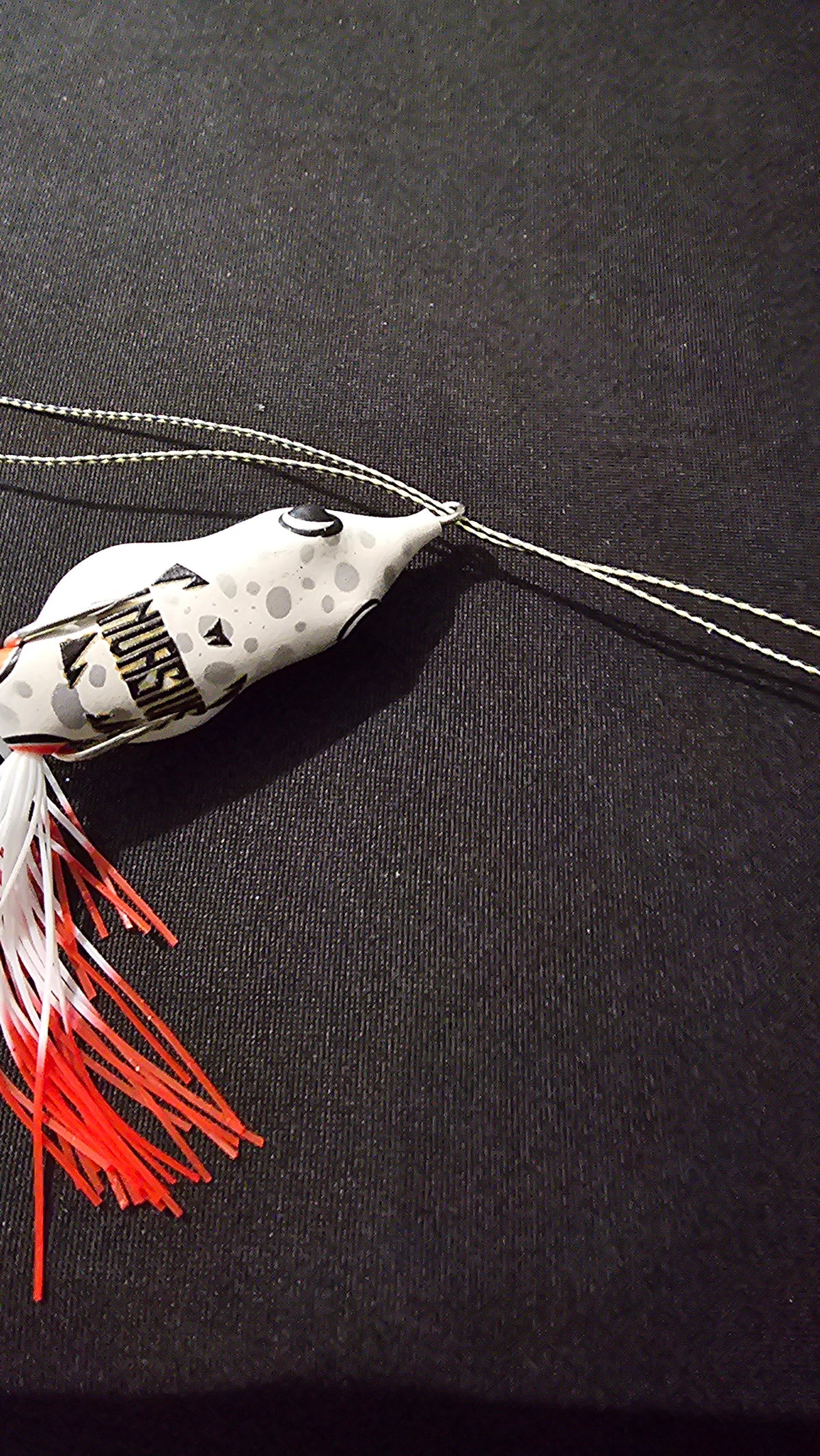 The Frog Leash